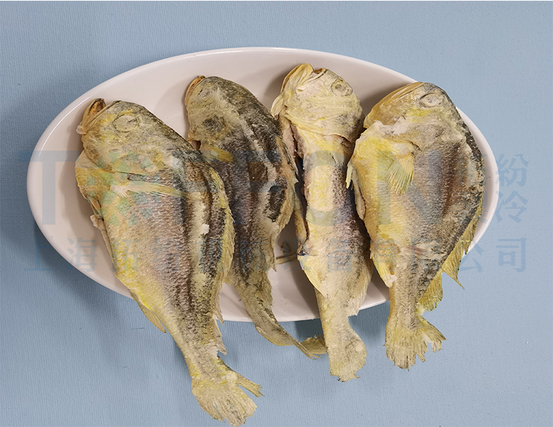 黃花魚凍干，食品凍干機(jī)應(yīng)用于黃花魚真空冷凍干燥