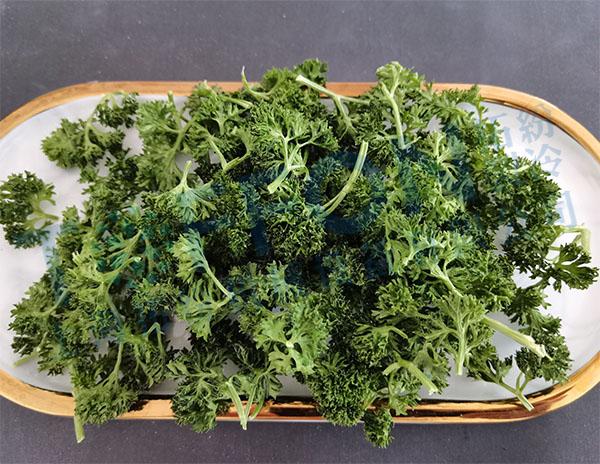 冷凍干燥機|凍干機|真空冷凍干燥機|大型冷凍干燥機|食品凍干機|制藥真空冷凍干燥機|食品凍干設(shè)備|制藥冷凍干燥機