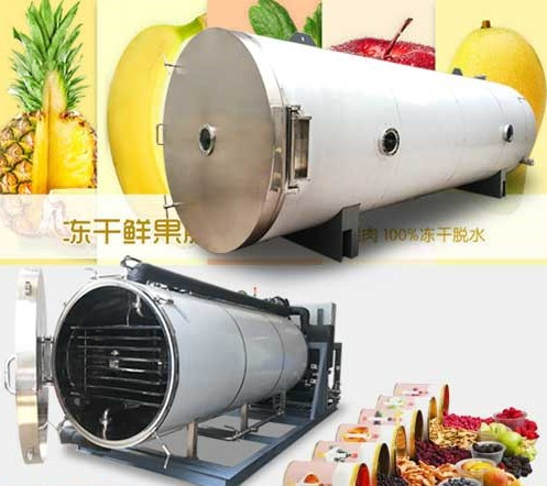 冷凍干燥機|凍干機|真空冷凍干燥機|大型冷凍干燥機|食品凍干機|制藥真空冷凍干燥機|食品凍干設(shè)備|制藥冷凍干燥機