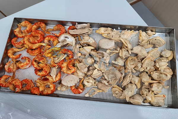 冷凍干燥機|凍干機|真空冷凍干燥機|大型冷凍干燥機|食品凍干機|制藥真空冷凍干燥機|食品凍干設(shè)備|制藥冷凍干燥機