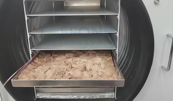 雞肝凍干：寵物食品真空冷凍干燥機原理及優(yōu)點介紹