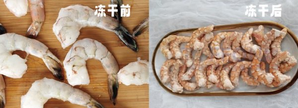 從鮮蝦到凍干蝦：凍干機(jī)的神奇轉(zhuǎn)化