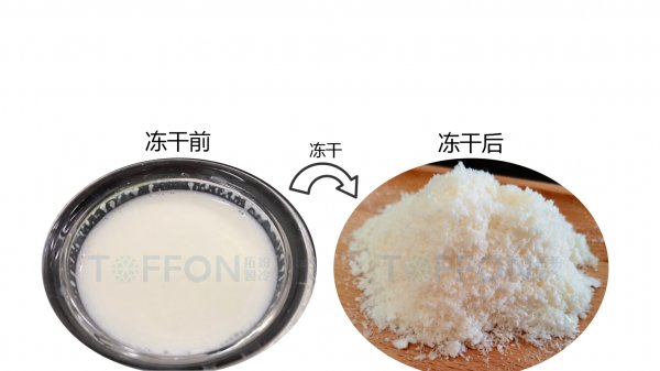 ? 凍干機(jī)制作凍干馬奶的優(yōu)勢(shì)