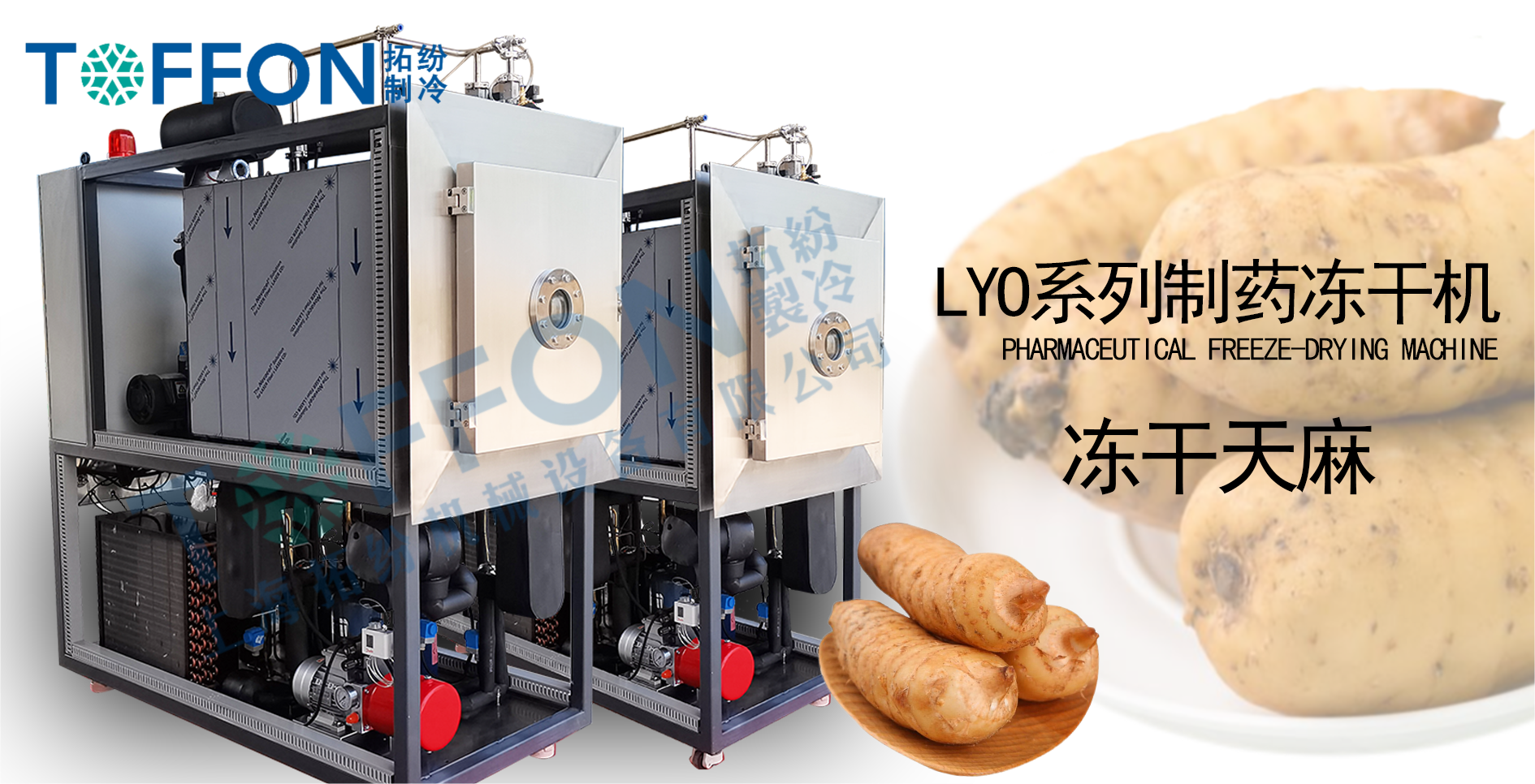 冷凍干燥機(jī)在保健品天麻領(lǐng)域的應(yīng)用