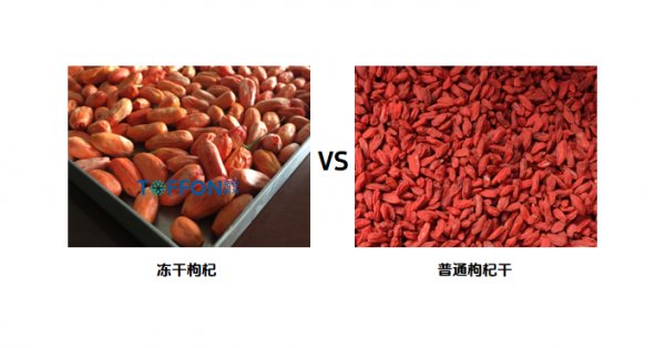 凍干寧夏枸杞，保留營養(yǎng)和鮮紅
